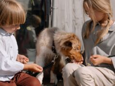 Dealing with the Loss of a Cherished Pet: Navigating Grief and Discovering Healing