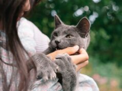 How Pets Improve Your Health and Lift Your Spirits